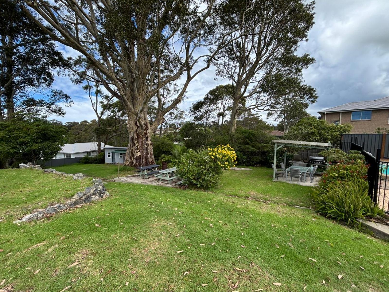 The Tree Motel Narooma Zewnętrze zdjęcie